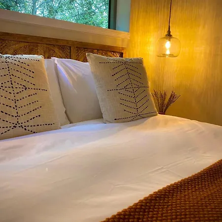 Foxglove 펜션 빌 안 다 차브