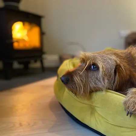 펜션 Foxglove 빌 안 다 차브