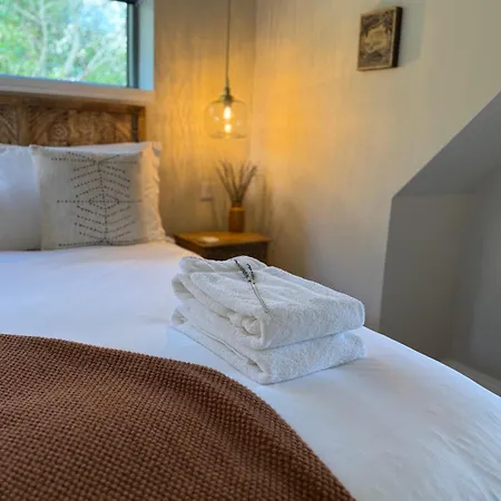 펜션 Foxglove 빌 안 다 차브