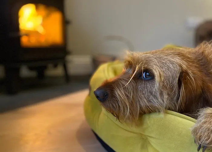 בית נופש Foxglove באל אן דה כאב